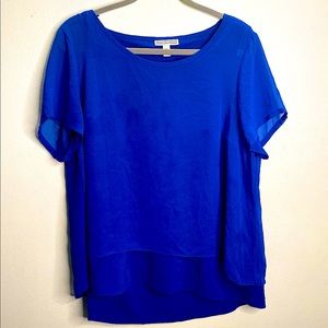 Dana Buchman Blue Double Lining Top XL
